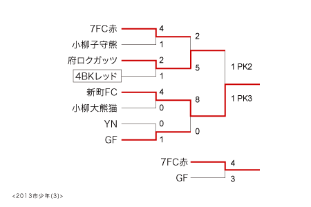 FL2013-3