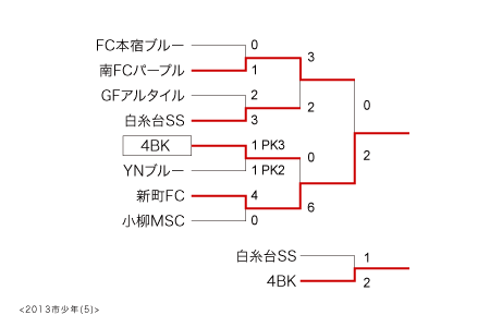 FL2013-5